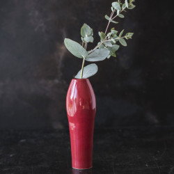 Ruby rdeča glazura Botz 9620, 200 ml