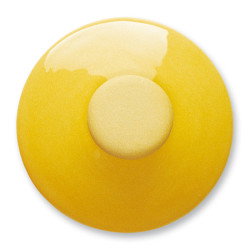 Žuta engoba u prahu 809, 100 g