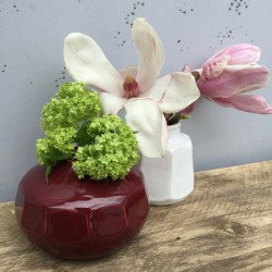 Trešnja crvena glazura 9559 200 ml