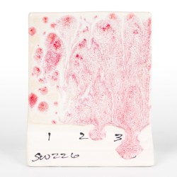 Pink pearl glazura Mayco SW-226, 473 ml