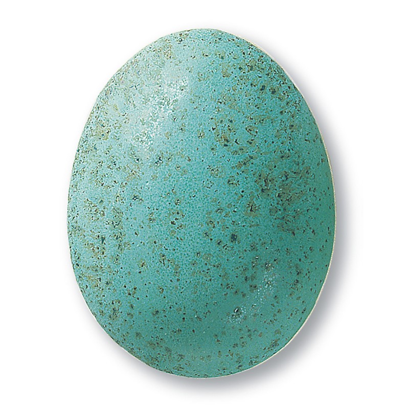Tirkizna s točkicama glazura 345 1 kg