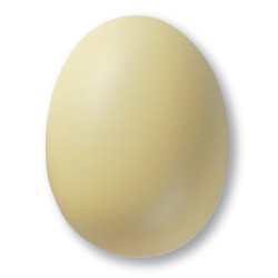 Vanilija mat glazura TerraColor 305, 1 kg