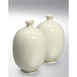 Prozirna glazura za porcelan 6600 1 kg